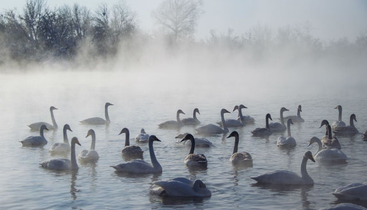 туман на озере Светлом_Ангелина Аверина.jpg