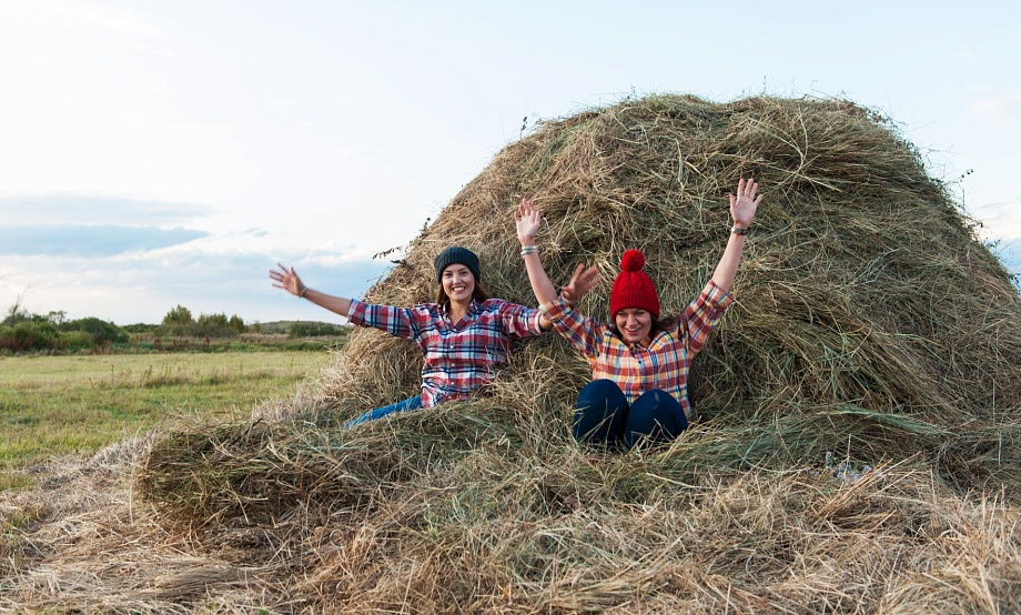 Продвижение современных форм сельской жизни, агро- и гастротуризма через проекты, блоги и фотографии оценят на конкурсе