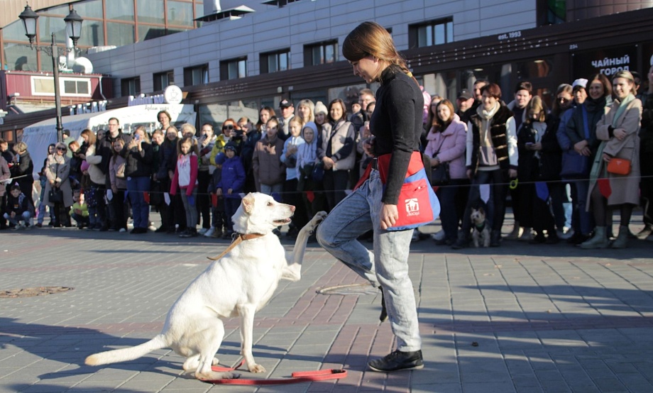Расхламиться, оздоровиться, прогуляться или подкрепиться? Уикенд-гид по Барнаулу на 7-8 октября