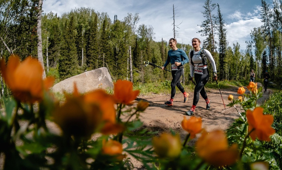 Садить деревья и менять мусор на призы, бежать к вершине, вечерять в музеях и любоваться лошадьми: гид по выходным