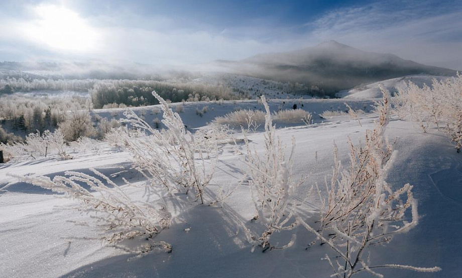 Фототур «Зимний отдых на Алтае» зовет в путешествие: Алтайтурцентр собрал новую коллекцию вдохновляющих снимков