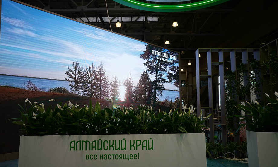 Туристический потенциал Алтайского края представят на международной выставке MITT