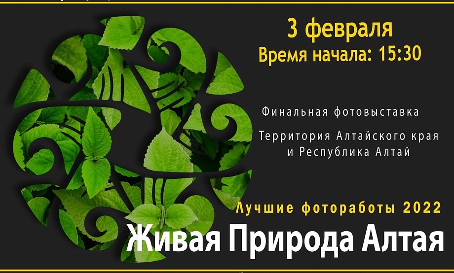 Меньше недели будет демонстрироваться объединенная выставка фотомастеров дикой природы Алтая