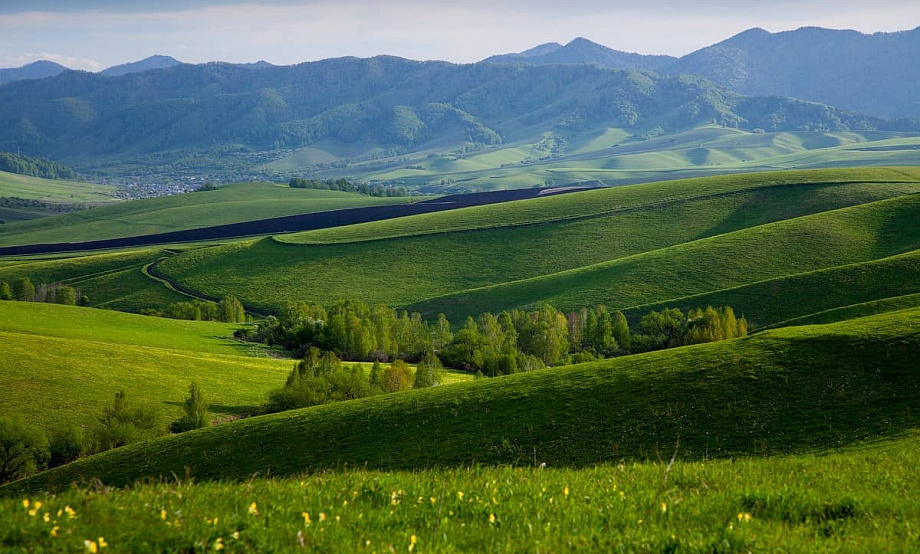Алтай – тысяча оттенков зеленого: летнее фотопутешествие по «плюшевым» холмам