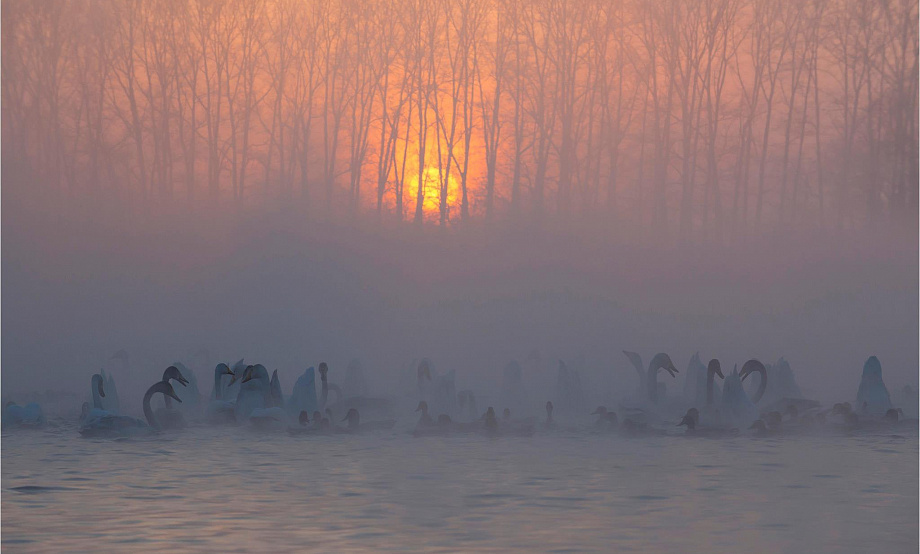 Снимок заката на Лебедином озере вошел в топ-10 фотоконкурса «Россия, которую вы еще не видели»