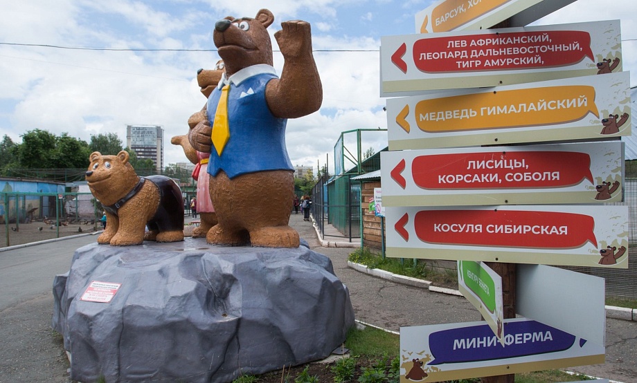 Можно смотреть и гладить! В Барнауле открывается «Мини-ферма»