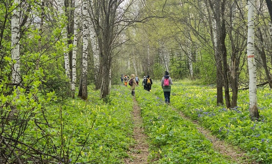 Четыре дневных выхода по цветущей тайге и три вечерних пленэра: идет бронирование майских выходных в нацпарке «Салаир»