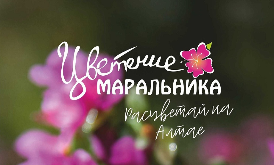 Фестиваль «Цветение маральника» объединит рестораны региона в летней гастрокарте: закажите вкладыш в меню!