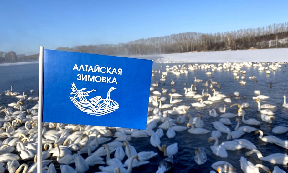 «Живое озеро с живыми птицами»: 80 юных географов с наставниками встретили «Алтайскую зимовку» на экскурсии