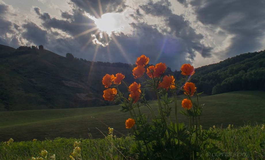 Тур по Солонешью «Люди и горы» стал одним из лучших маршрутов, представленных первым Акселератором сельского туризма