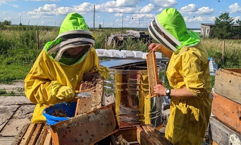 На пасеке Назаровых в селе Шульгин Лог оборудовали Музей пчеловодства и объявили набор в Школу молодого пчеловода