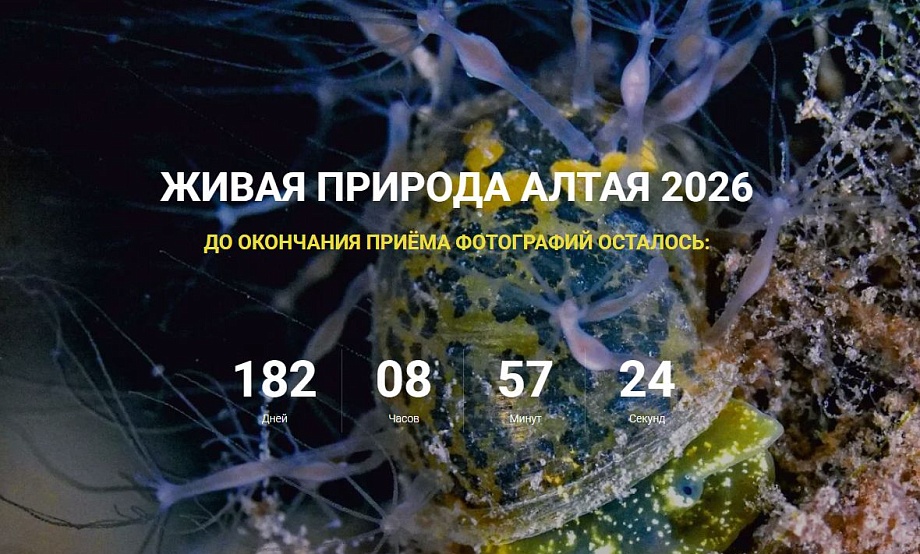 Финальная ассамблея лучших фотографий конкурса «Живая природа Алтая-2026» пройдет в Барнауле. Прием заявок открыт