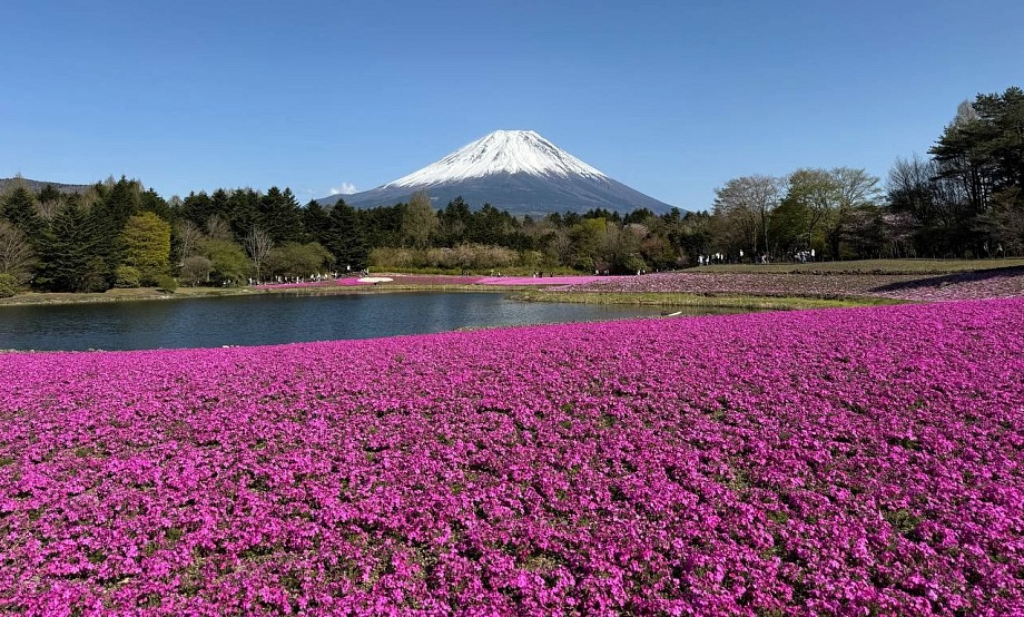 Японцы на Катуни, а группа барнаульского гида – в Токио: связи Алтая и страны восходящего солнца откроет турклуб «Шишковки»