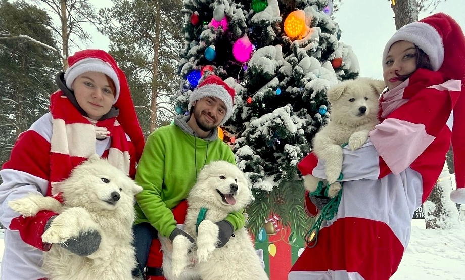 В санаторий на интенсив, в зоопарк – за открытки, на зимние развлечения – за город: уикенд в краевой столице