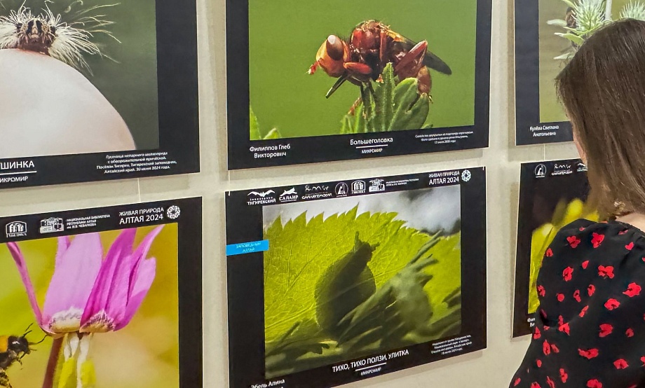 Взятие снежных КП и прогулка от подвала до чердака, самораскрытие и творчество: план-минимум на выходные в «городах Б»