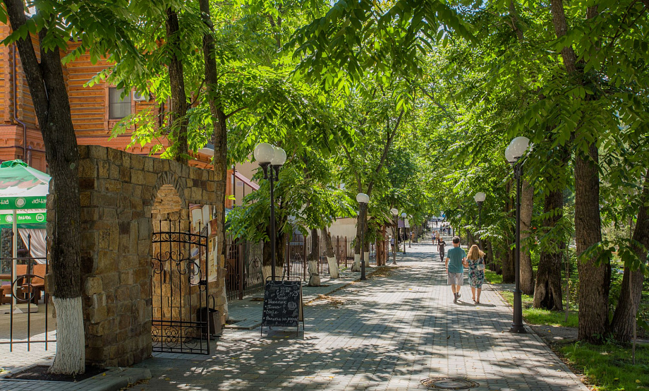 О результатах действия курортного сбора в Белокурихе сообщили на Правительственной комиссии по развитию туризма