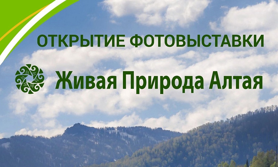 Фотовыставки о дикой природе экспонируют в Змеиногорске, полуфинал фотоконкурса и спецфотопроект готовят в Барнауле