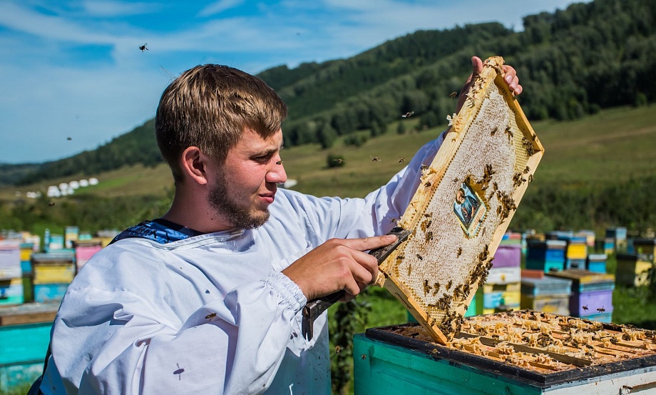 У первой Медовой карты страны будут дегустировать и заказывать конкурсные образцы «Лучшего меда России»