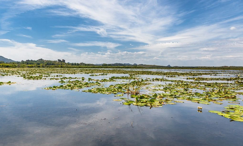 Бассейн реки, питающей Колыванское озеро, объявлен памятником природы