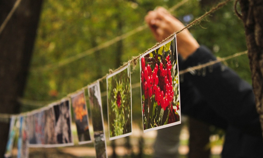 Weekend-гид: есть чак-чак, ловить лягушек, плавать на сапах или «сушиться» – выбор за вами