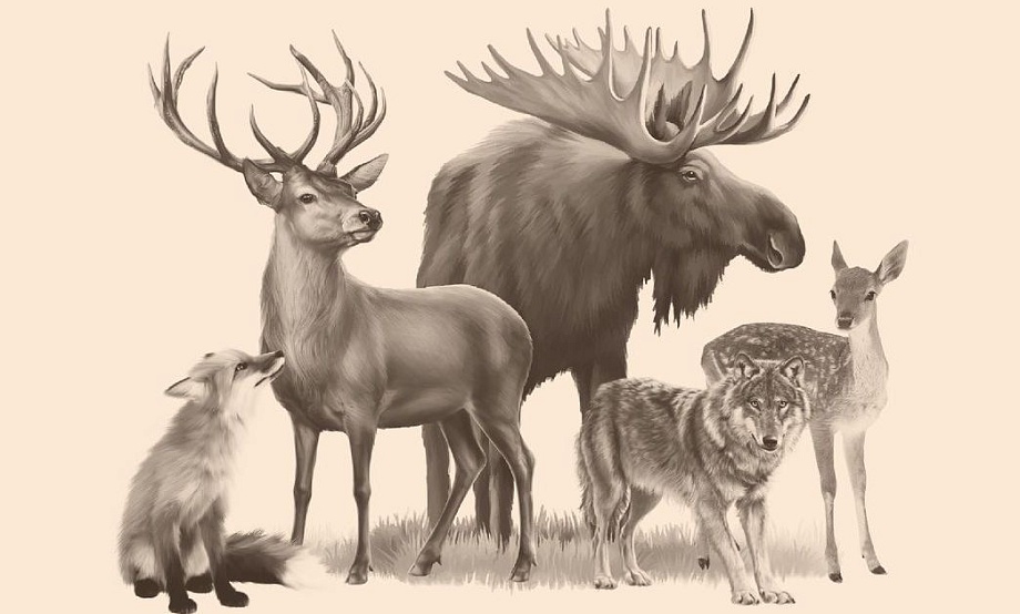 22 дня будет доступна онлайн-версия эколого-космического диктанта «ЭкоТолк»