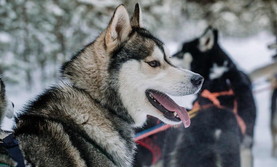 Weekend-гид: игротека, развлекательные программы на катках и кулинарный мастер-класс